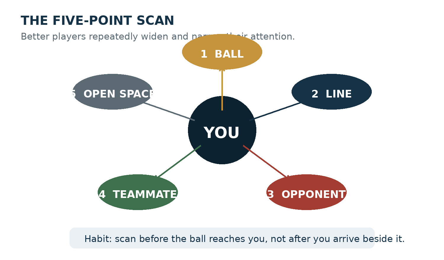 Five-point awareness scan from the player to the ball, line, opponent, teammate and open space